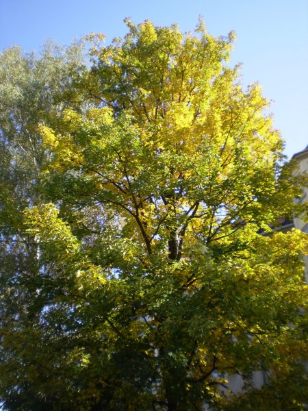 PA050016