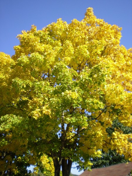 PA050022
