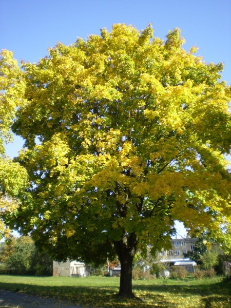PA050024