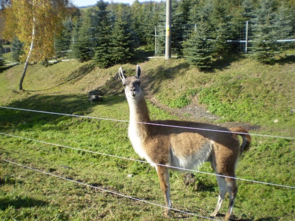 PA110086